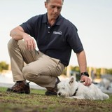 Completely Canine - Medical Equipment  & Appliances in Miami