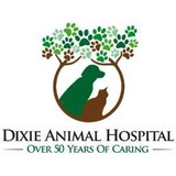 Dixie Animal Hospital - Veterinarians/Vets in Miami