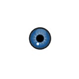 Exceptional Vision - Optometrists in Miami