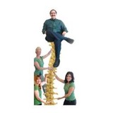 Berman Chiropractic Center - Chiropractors in North Miami Beach