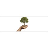 Aspen Environmental Consulting LLC - Business Consulting in Stuart