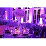 A Fancy Fiesta Production - Wedding Planning in Miami