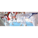 Family Taekwondo School - Martial Arts in Miami