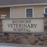 Bayshore Veterinary Clinic - Veterinarians/Vets in Miami