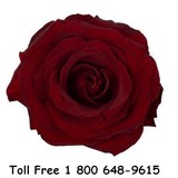J R Roses - Florists in Miami