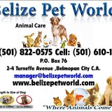 Belize Pet World - Pet Stores in Miami