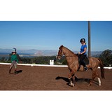 Sea Horse Ranch - Resorts in Miami