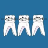 Runnels M Scott DDS - Dentists in Destin