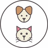 Miami Pet Concierge - Pet Services in Miami