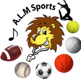 Alm Sports LLC - Arcades in Miami