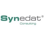 Synedat Consulting Inc - Business Consulting in Bradenton