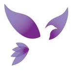 Neptune Management Corp - Funeral Services & Cemeteries in Miami