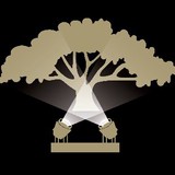 Enlightened Designs Landscape - Landscaping in Ocala