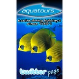 Aquatours - Travel Agents in Miami