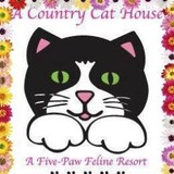 A Country Cat House - Animal Boarding/Pet Boarding in Miami