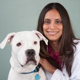Miami Veterinary Dermatology - Veterinarians/Vets in Miami