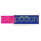 City Pooch - Pet Services in Miami