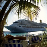 Holistic Holiday At Sea Inc - Organic Stores in Miami