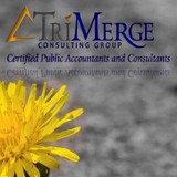 Trimerge Consulting Group pa - Accountants in Miami