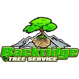 Backridge Tree Service Inc - Other in Mary Esther