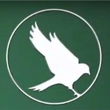 St Stephen's Episcopal School - Private Schools in Bradenton