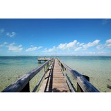Signor Jim - Other in Key Largo