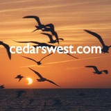 Cedars West - Other in Longboat Key