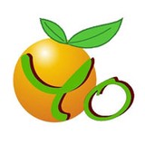 YogurtFusion - Food & Related Products in Miami