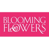 Blooming Flowers Inc - Florists in Miami