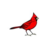 Redbird Animal Clinic - Veterinarians/Vets in Miami