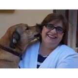 Home Vet Care Miami: Vet Home Express - Veterinarians/Vets in Miami
