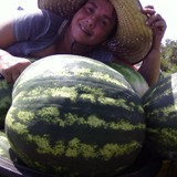 waldo's farm - Fruit, Herb, Grain, Nut, Seed, Spice, Vegetable Farms & Orchards in Miami