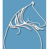 Whispering Manes Therapeutic - Massage Therapy in Miami