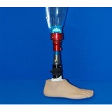 Tri County Orthotic - Other in Chiefland