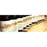 Wolfe's Wine Shoppe - Beer, Wine & Spirits in Miami