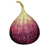 Black Fig - Restaurants in Tallahassee