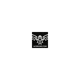 American Karate Institute Inc - Martial Arts in Miami