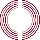 Your College Connector, LLC - Educational Consultants in Miami