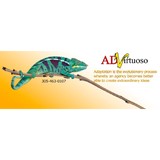 Advirtuoso Communications Inc - Advertising in Hialeah