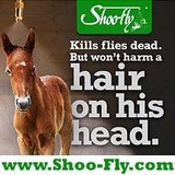 Shoo-Fly Inc - Wholesale in Ocala