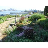 Urban Plantscapes MIAMI - Landscaping in Miami