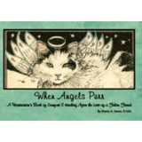 Angel Cats - Veterinarians/Vets in Sarasota