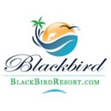 Blackbird Caye Resort - Resorts in Miami