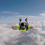 Harris Don J DVM - Veterinarians/Vets in Miami