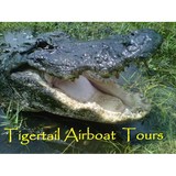 Tigertail Airboat Tours - Boat Tours in Miami