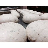 Riccardo's Restaurant - Restaurants in Tallahassee
