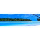 Bay Adventures - Travel Agents in Miami