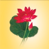 Forrest Pilates - Fitness & Instruction in Miami