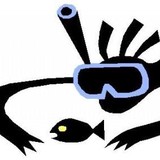Florida Keys Marine Life LLC - Other in Big Pine Key