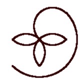 Massage Rituals - Massage Therapy in Miami